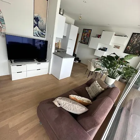 Luxury 1br With Terrace Apartment Geneva